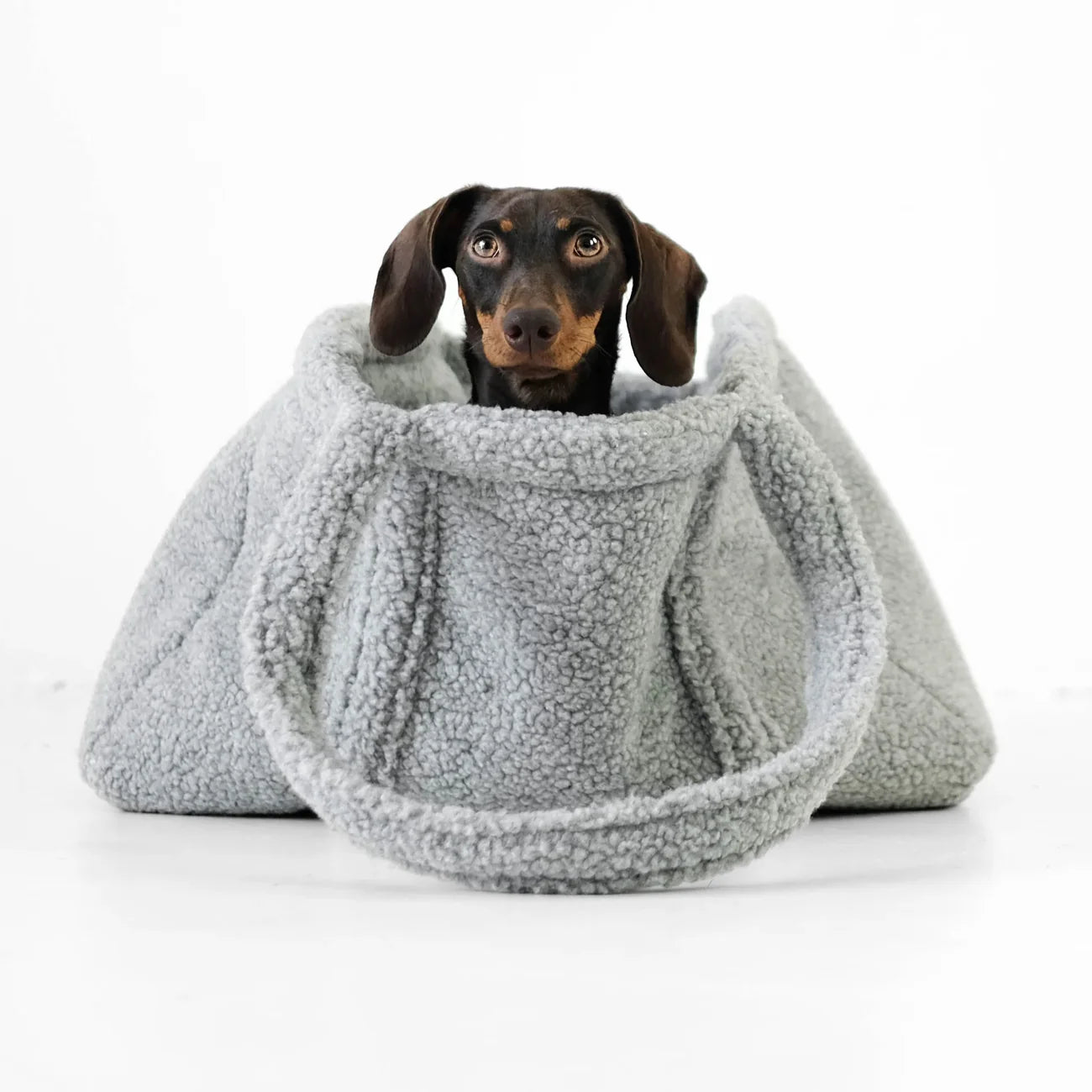 Hundetragetasche - Teddy