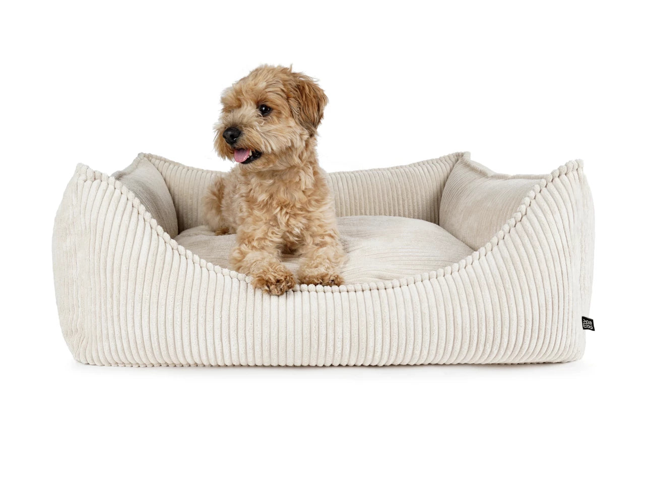 Cord Bett Lia